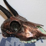 [Vendu – Sold] Véritable crâne de springbok cuivré, 2015.